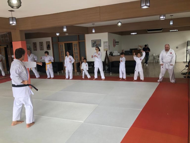 Aulas de Karate Shotokan para adultos , adolescentes e crianças - Cotia - Vargem Grande Paulista - Carapicuiba - São Paulo - Renbukan Brasil - Escola de Artes Marciais - Sensei Roberto Nascimento