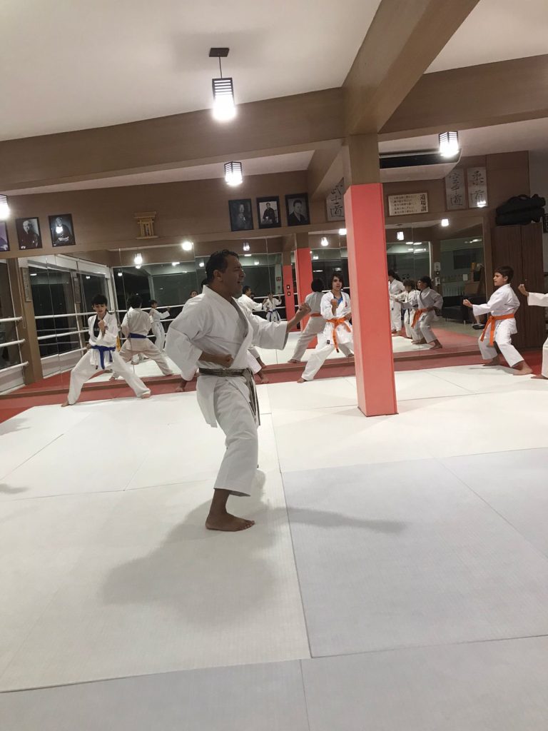 Aulas de karate com Sensei Francisco Santiago - Renbukan Brasil - Escola de Artes Marciais Japonesas - Cotia - Vargem Grande Paulista - Carapicuiba - Karate para crianças - Adolescentes e adultos