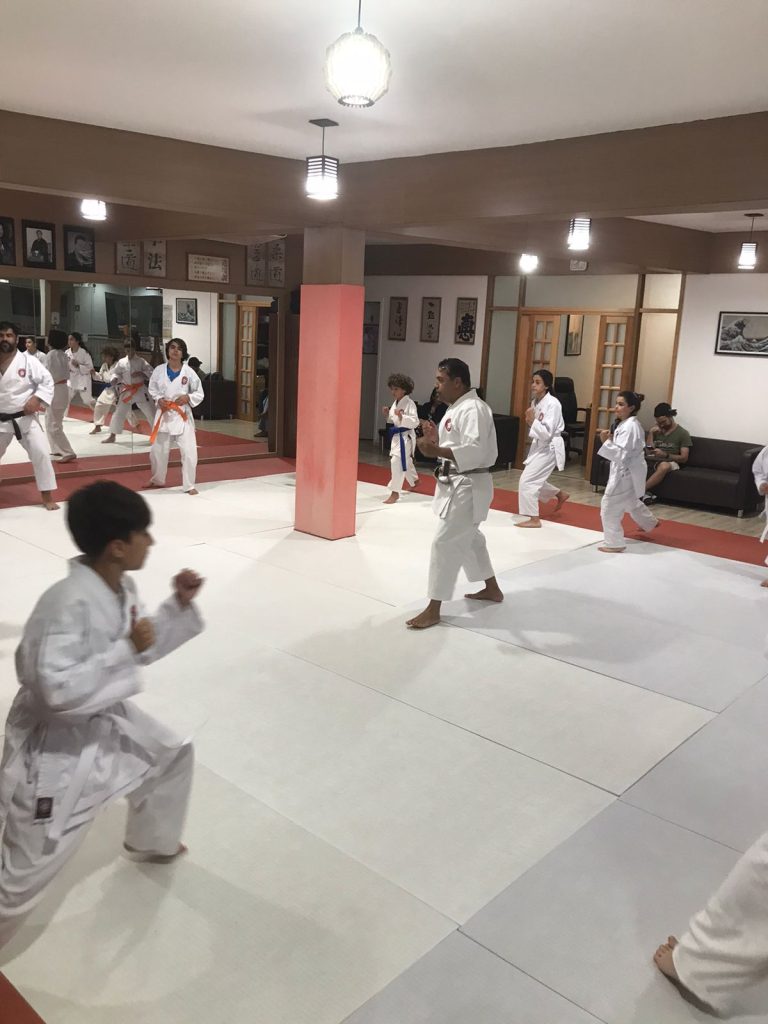 Aulas de karate com Sensei Francisco Santiago - Renbukan Brasil - Escola de Artes Marciais Japonesas - Cotia - Vargem Grande Paulista - Carapicuiba - Karate para crianças - Adolescentes e adultos