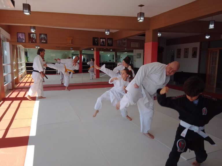 Aulas de karate para crianças - Sensei Roberto Nascimento - Cotia - Carapicuiba - vargem grande Paulista - São Paulo