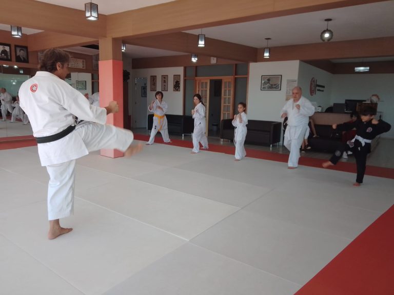 Aulas de karate para crianças - Sensei Roberto Nascimento - Cotia - Carapicuiba - vargem grande Paulista - São Paulo