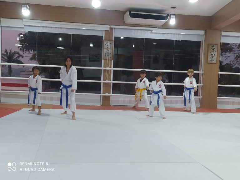Aula de Karate Shotokan - Renbukan Brasil - Sensei Francisco Santiago - Cotia - Vargem grande Paulista - Carapicuiba