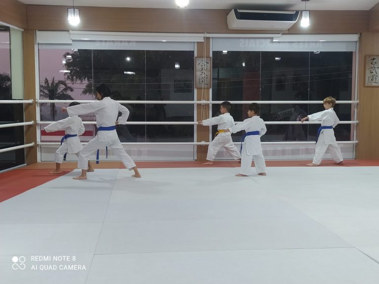 Aula de Karate Shotokan - Renbukan Brasil - Sensei Francisco Santiago - Cotia - Vargem grande Paulista - Carapicuiba