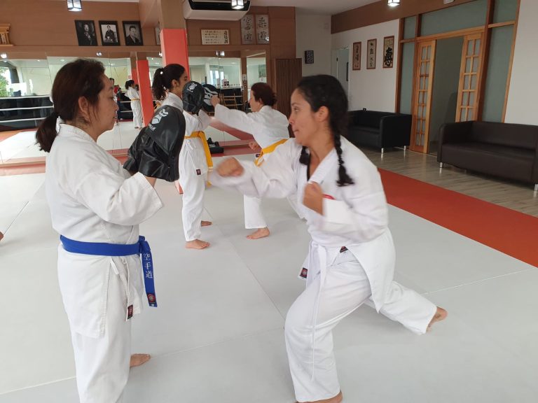 Aulas de Karate feminino com Sensei Francisco Santiago - Renbukan Brasil - Cotia - Vargem Grande Paulista - Carapicuiba - São Paulo