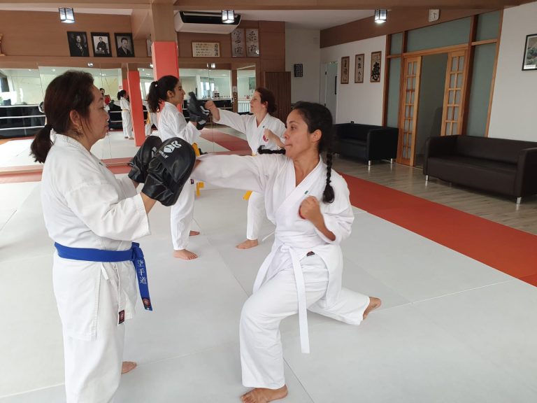 Aulas de Karate feminino com Sensei Francisco Santiago - Renbukan Brasil - Cotia - Vargem Grande Paulista - Carapicuiba - São Paulo